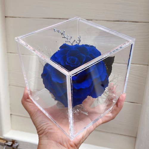 Floral Footprint studio 竹跡手創館 小王子的玫瑰 方型花盅 藍色妖姬 厄瓜多爾永生花