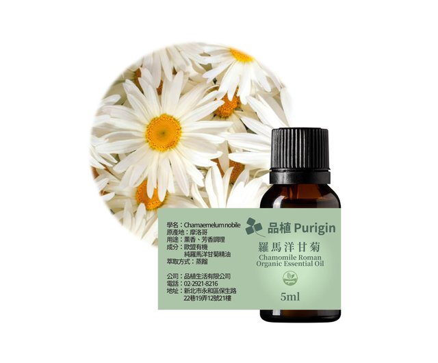 Organic Roman Chamomile Essential Oil