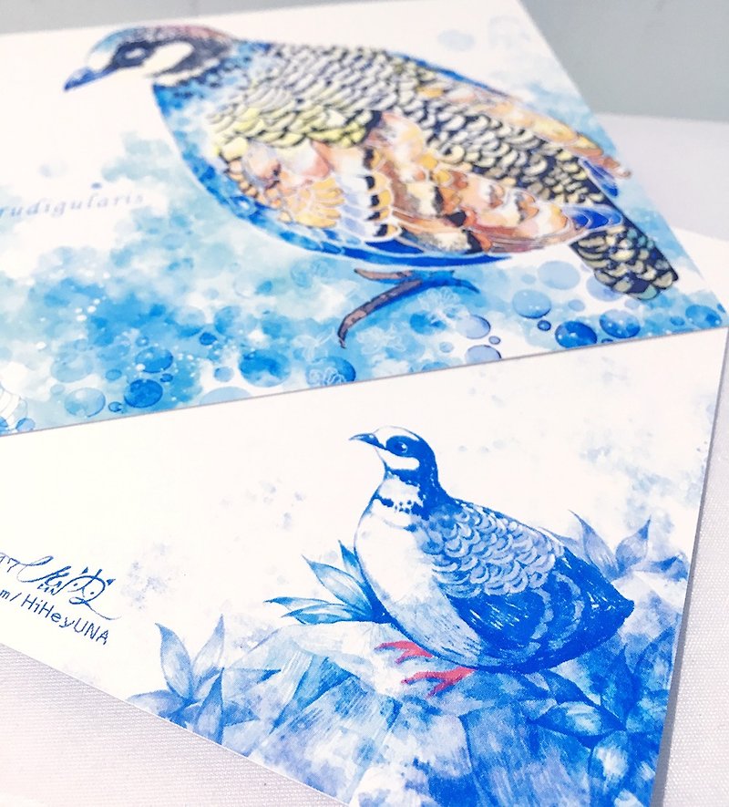 Taiwan Bird Deep Mountain Bamboo Chicken/Double-sided postcard postcard - Cards & Postcards - Paper 
