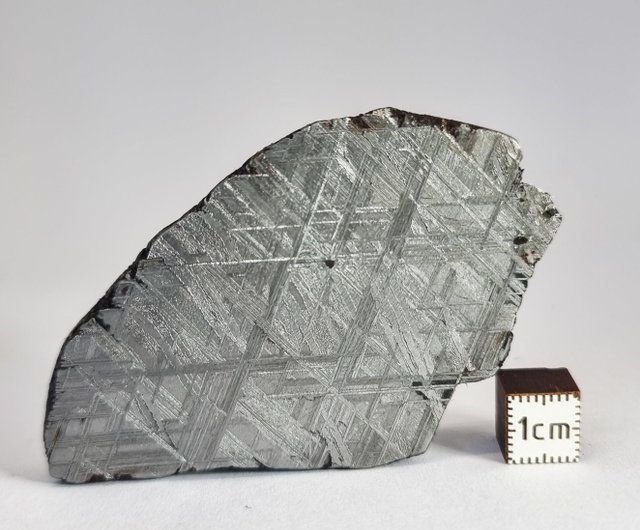 Muonionalusta meteorite, Sweden. 74,76g slice. - Shop