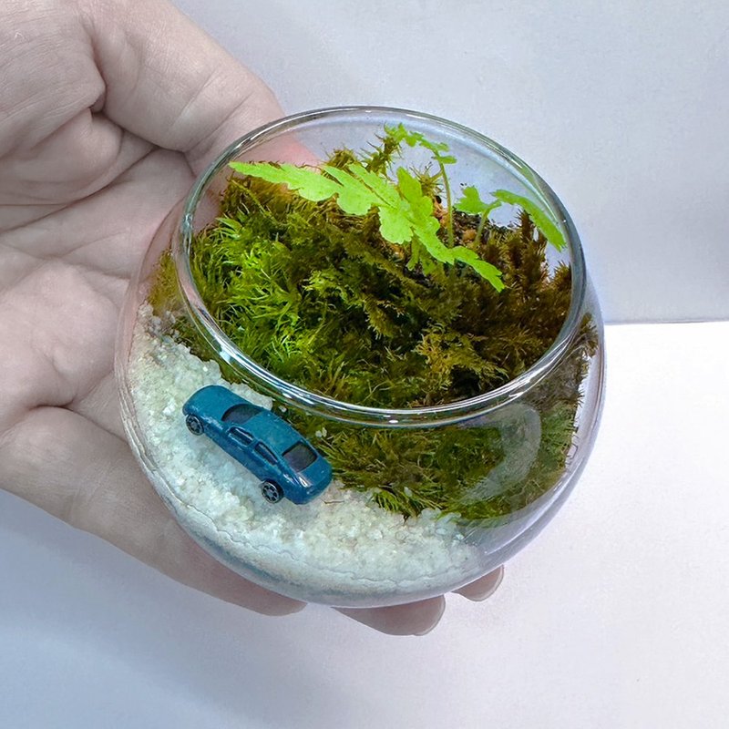 跑車夢幻旅 / 迷你掌上型手工微景觀 - 盆栽/植栽 - 植物．花 