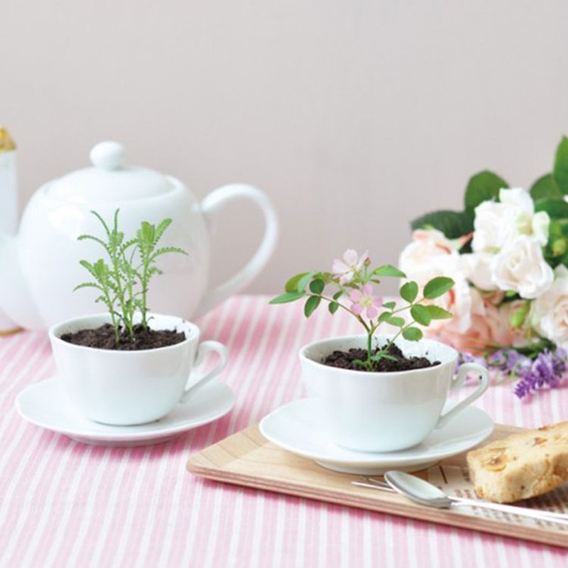 [Refurbished Special Sale] Tea cup Lavender Afternoon Tea Series Cultivation Pot/Lavender - ตกแต่งต้นไม้ - ดินเผา สีม่วง