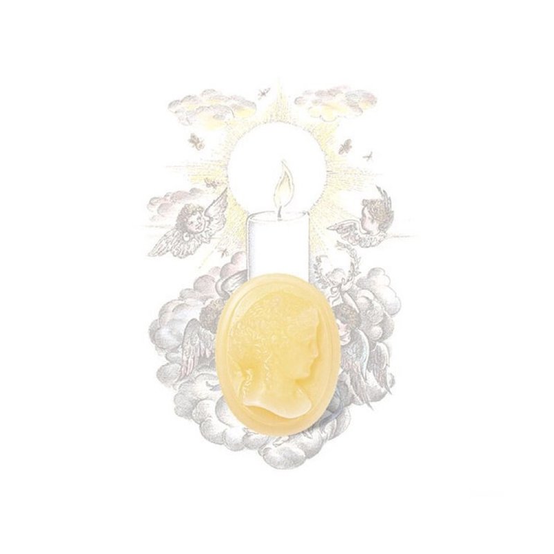 Cire Trudon 焚香香氛蠟塊 - 香氛蠟燭/燭台 - 蠟 金色
