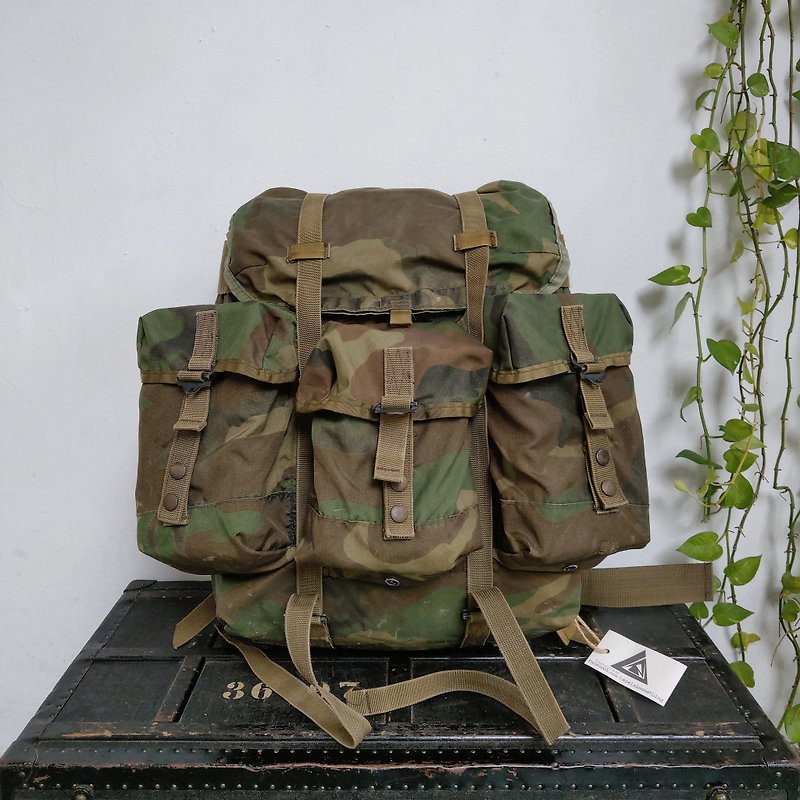 United States _ALICE backpack (middle) _R002 - Backpacks - Polyester Green