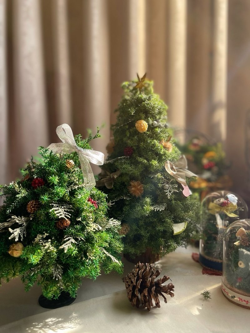 [Christmas Course] Christmas Handmade Everlasting Pine and Cypress Christmas Tree/Christmas Circle - Plants & Floral Arrangement - Plants & Flowers 