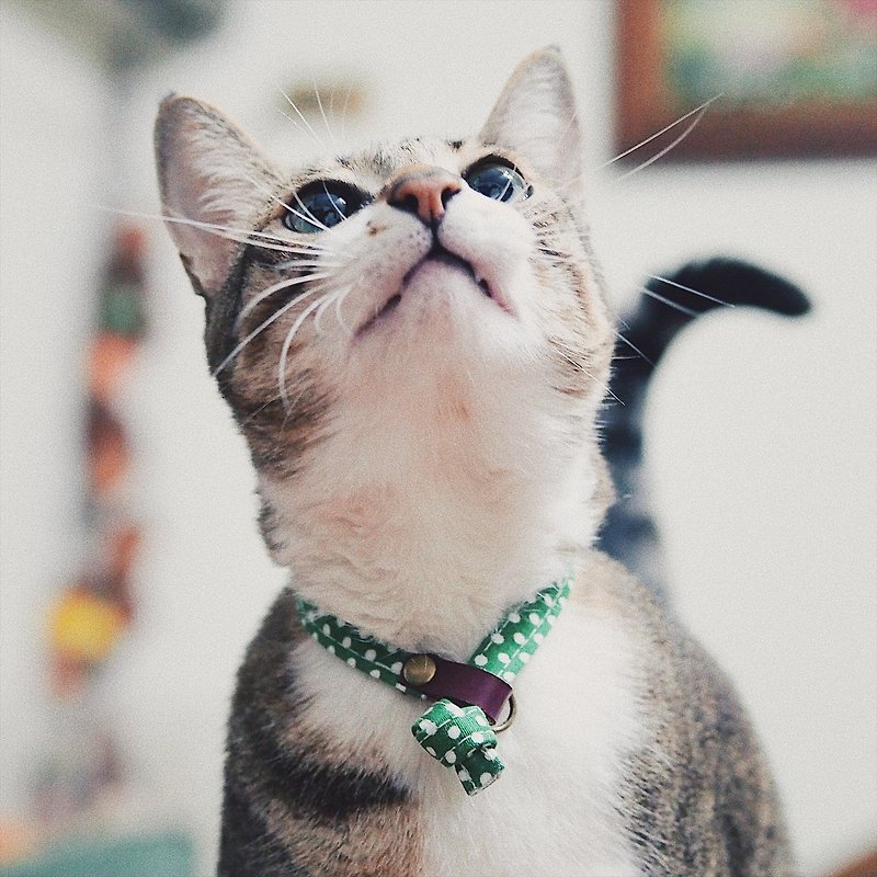 貓 項圈 綠色點點 植楺皮 純棉 贈鈴鐺 可愛 可加購吊牌 - 貓狗頸圈/牽繩 - 棉．麻 