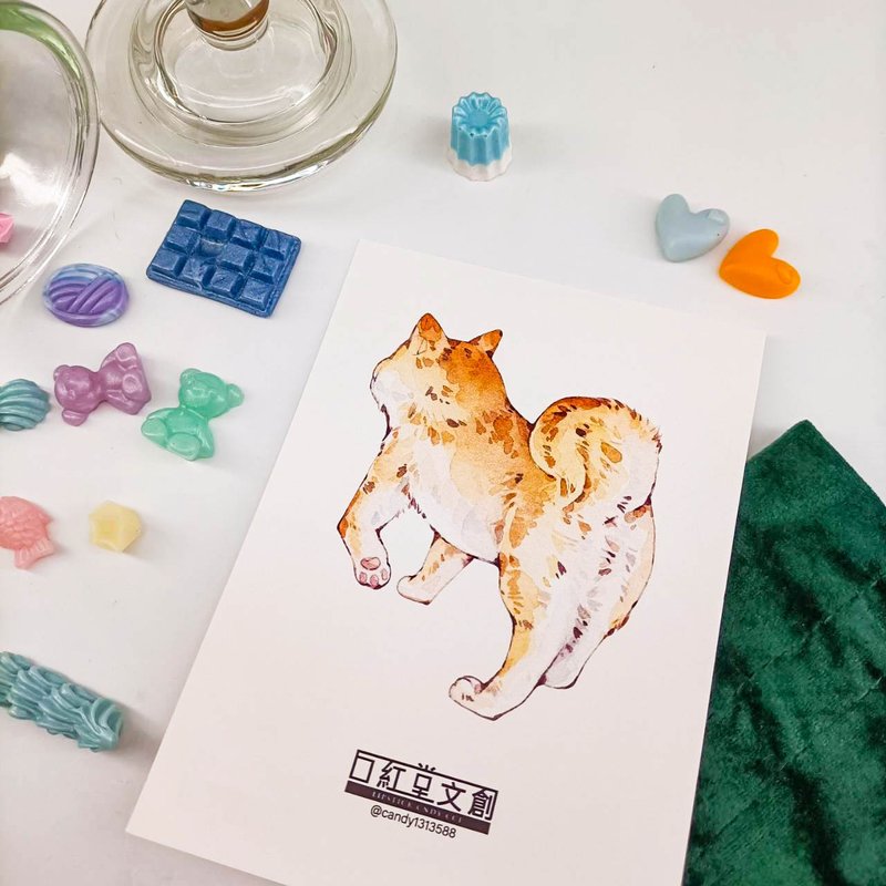 KR474_口紅堂明信片_柴犬9_candy1313588 postcard - 卡片/明信片 - 紙 多色