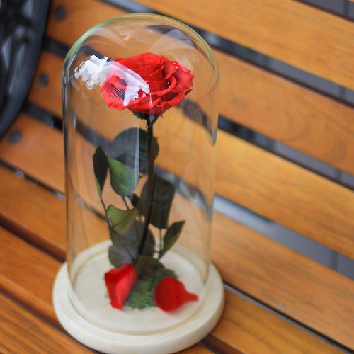 EROS 永生花玻璃罩盅 客製不凋花花禮 乾燥花 紅玫瑰永生花