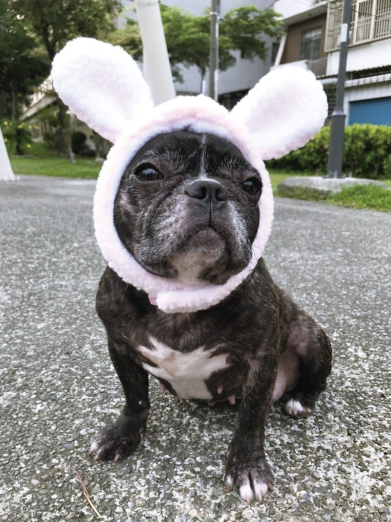 Cute bunny hat - ชุดสัตว์เลี้ยง - ผ้าฝ้าย/ผ้าลินิน หลากหลายสี