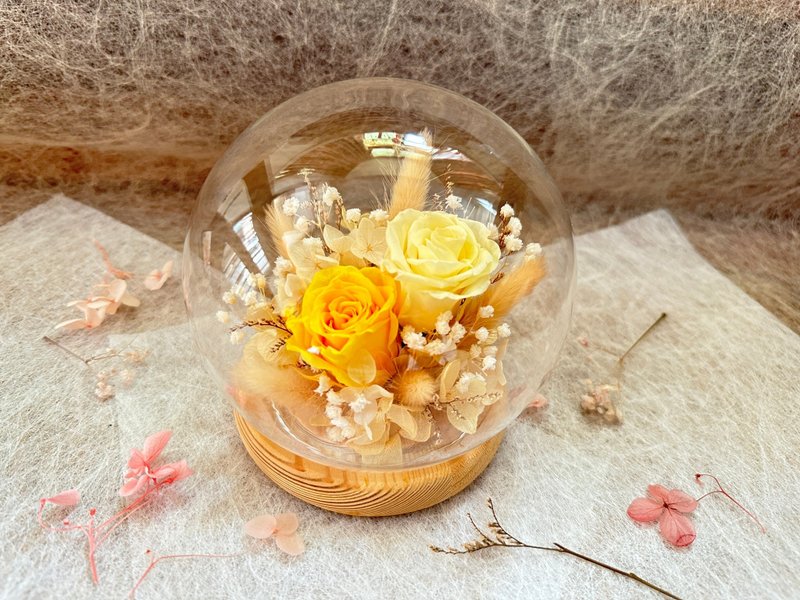 [Designer exclusive] Large glass ball flower cup - ช่อดอกไม้แห้ง - พืช/ดอกไม้ 