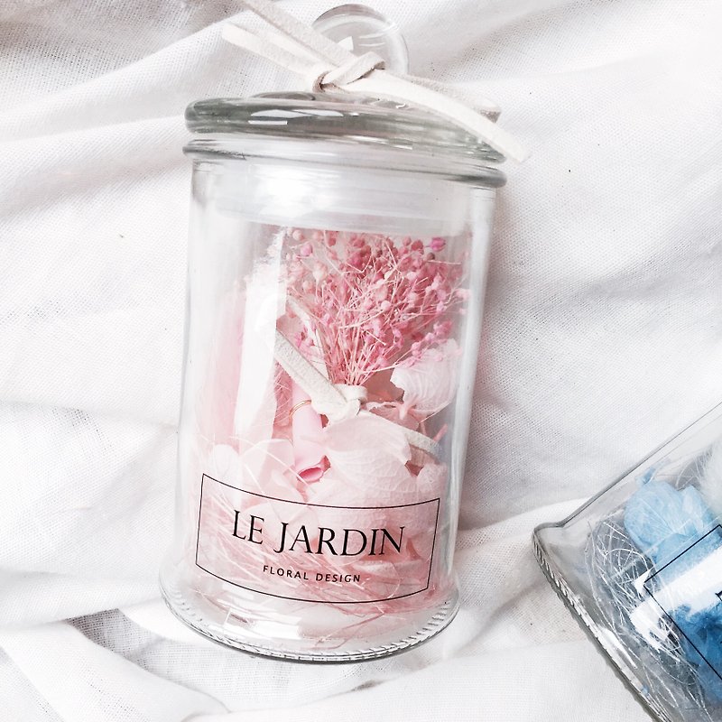 ボトル/バレンタインデーの誕生日の贈り物を願い「ル・ジャルダン」ピンクのアジサイ不死化星 - 観葉植物 - 寄せ植え・花 