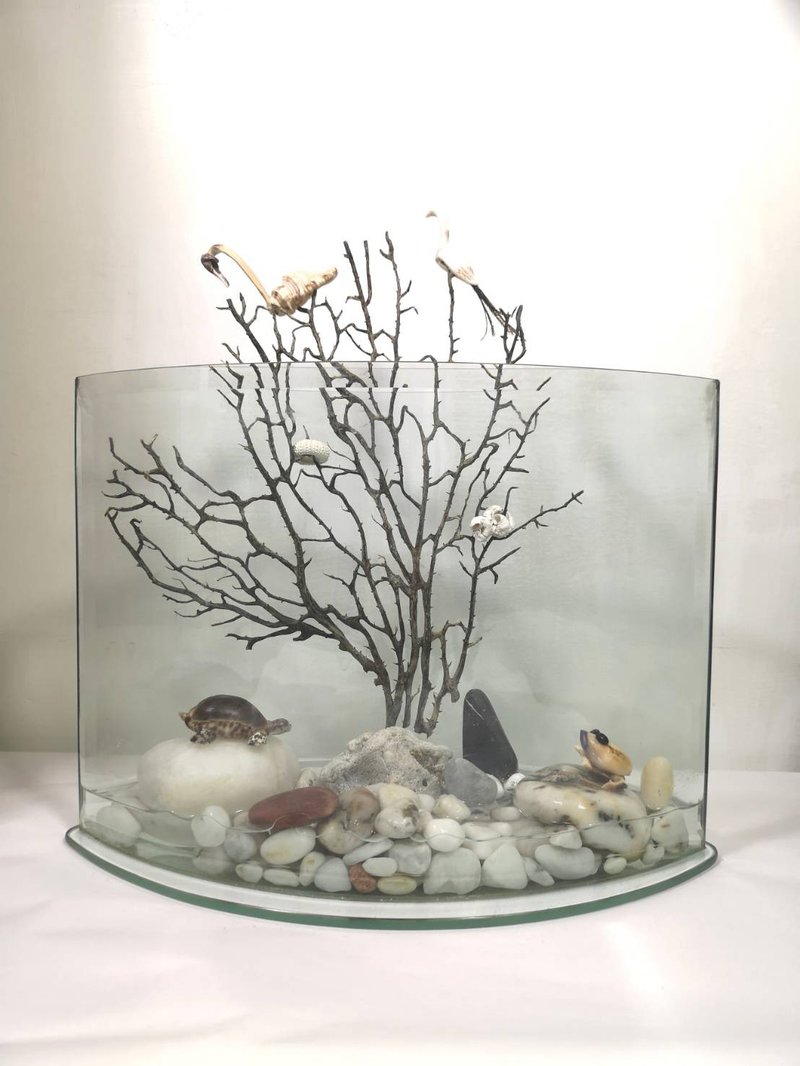 -生態- 魚缸 展示架 盆栽架 盆栽擺飾 植栽器皿 - 其他 - 玻璃 透明