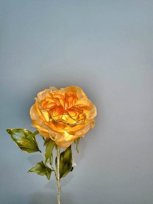 誕生花ライト】9月・イングリッシュローズ - ショップ Bettina and