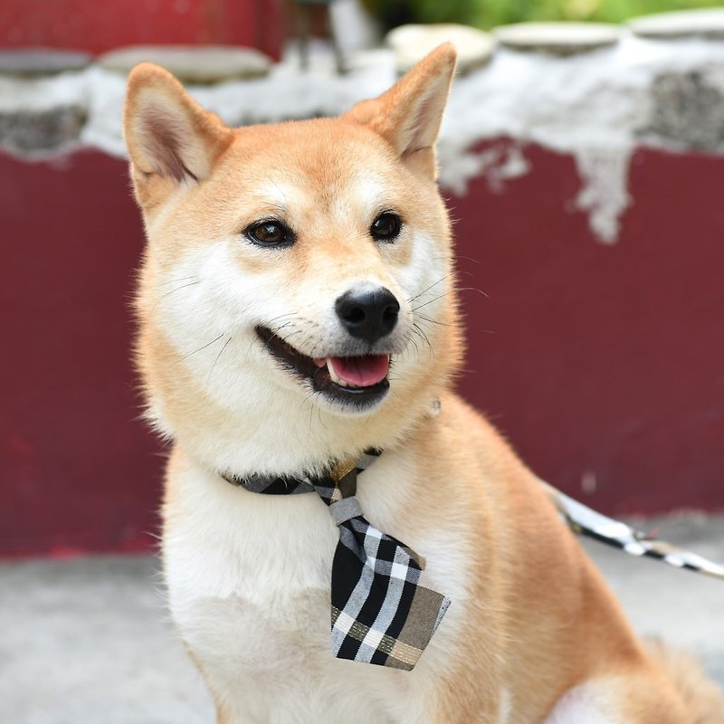 Handmade Classic Tartan/Plaid Dog Collar Accessory - Tie - Noble Black 【ZAZAZOO】 - ปลอกคอ - ผ้าฝ้าย/ผ้าลินิน สีดำ