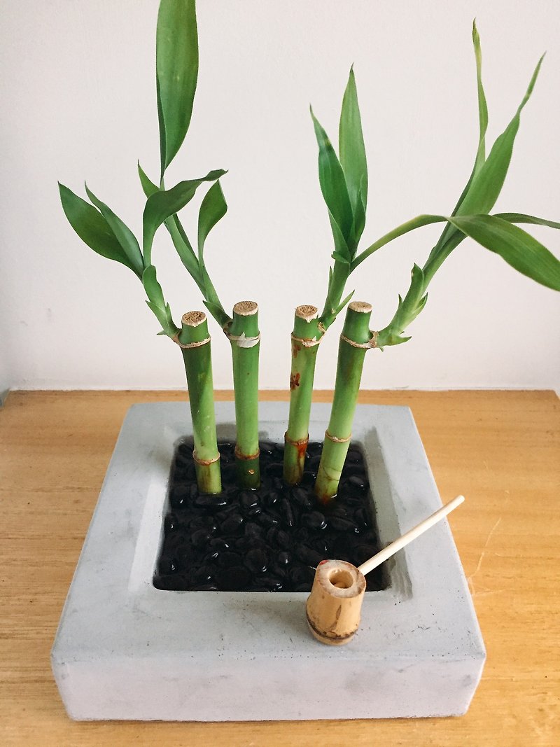 Pure natural Japanese bamboo Zen landscape pot Zen dry landscape potted plants gift gifts healing small things zen potted - ตกแต่งต้นไม้ - ไม้ไผ่ สีเขียว