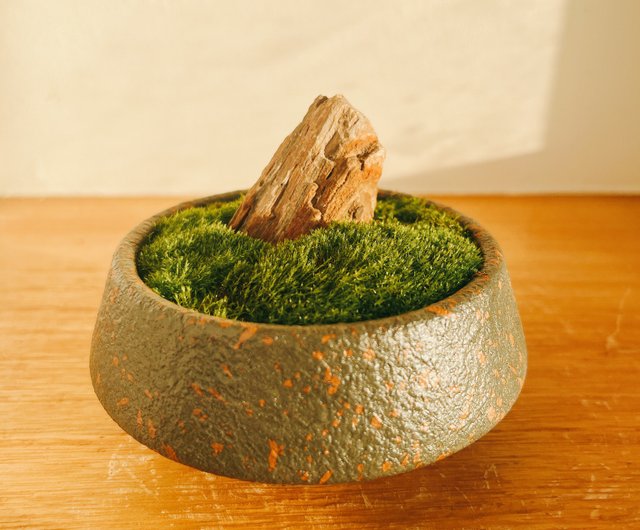 純天然 ミニ鉢 風景 苔盆栽 苔石鉢植え ギフト 小物 マイクロ 純天然 ミニ鉢 風景 苔盆栽 苔石鉢植え ギフト 小物 マイクロ