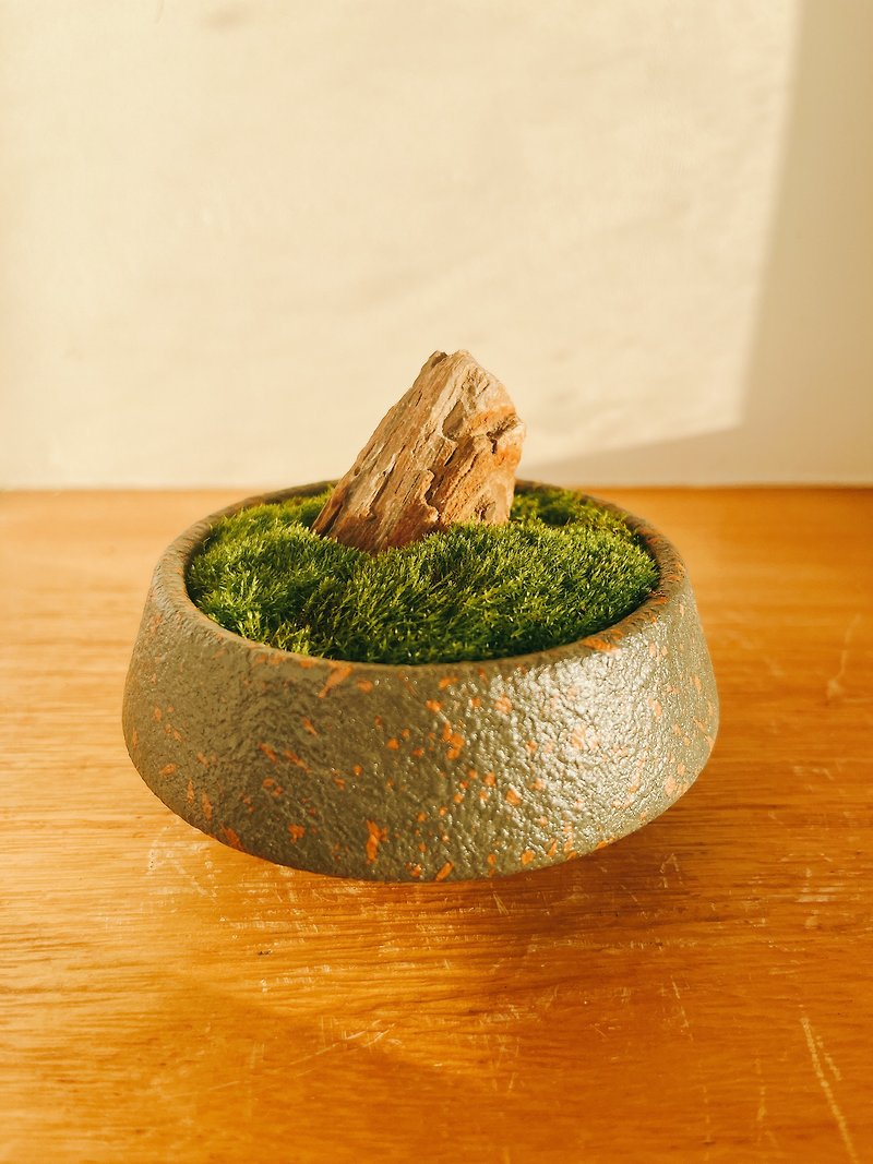 Pure natural mini bowl landscape moss bonsai moss Stone potted gift small objects micro-landscape - Plants - Plants & Flowers Green