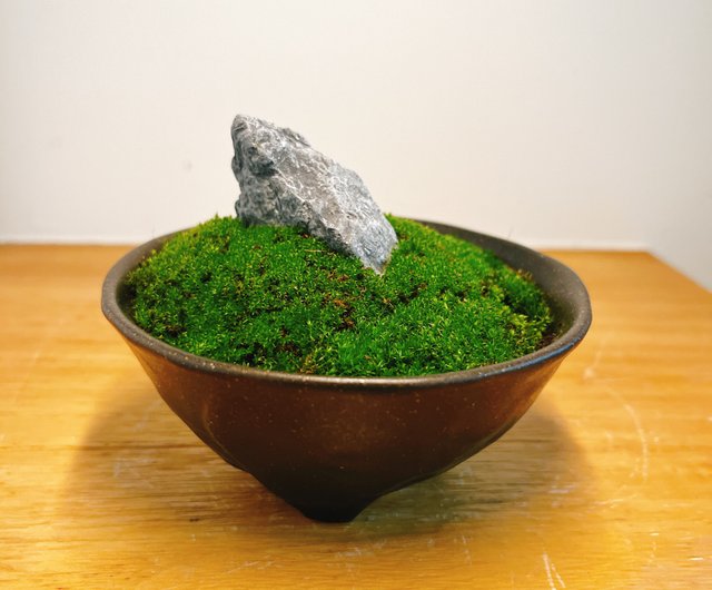 品質保証 【天然自然石・短冊型石鉢・苔鉢・多肉植物鉢・オブジェ２個