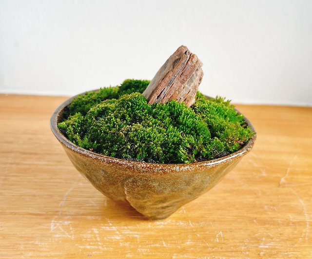 新発売の 【天然自然石・短冊型石鉢・苔鉢・多肉植物鉢・オブジェ２個 