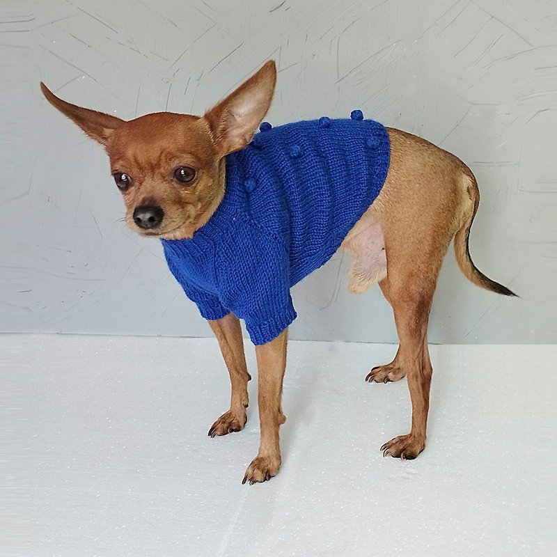 Knitted sweater for a dog Blue sweater for a small dog Dog clothes Warm sweater - 寵物衣服 - 繡線 藍色