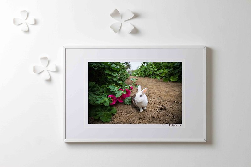 Rabbit Original Art Photography - "decorating" - โปสเตอร์ - กระดาษ 