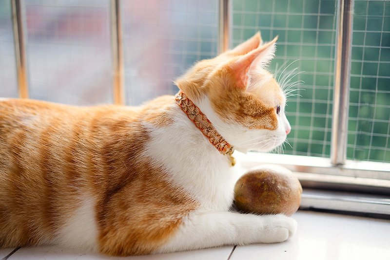 "Custom" brass cat lap tag handmade necklace collar handmade creative gift packaging - ปลอกคอ - โลหะ 