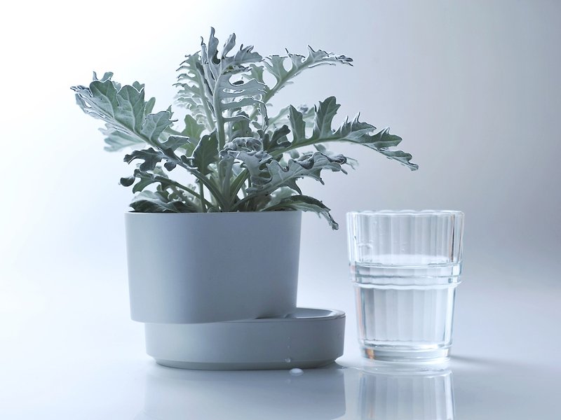 Green Circle_light gray - Plants - Plastic Gray