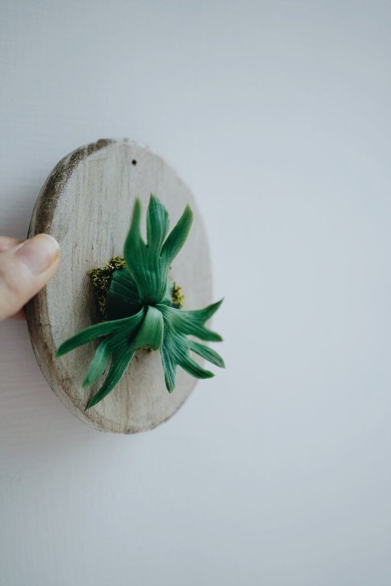 [Tainan Anping] Cultural Coin Simulation Wild Staghorn Fern [Resin Clay Handmade Experience] - จัดดอกไม้/ต้นไม้ - ดินเหนียว 