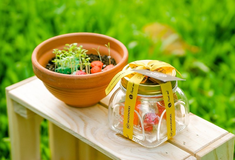 Salad Jar Baby Salad Seed Balls into the Gift / Mother's Day / Thanks / Sisters - ตกแต่งต้นไม้ - พืช/ดอกไม้ 