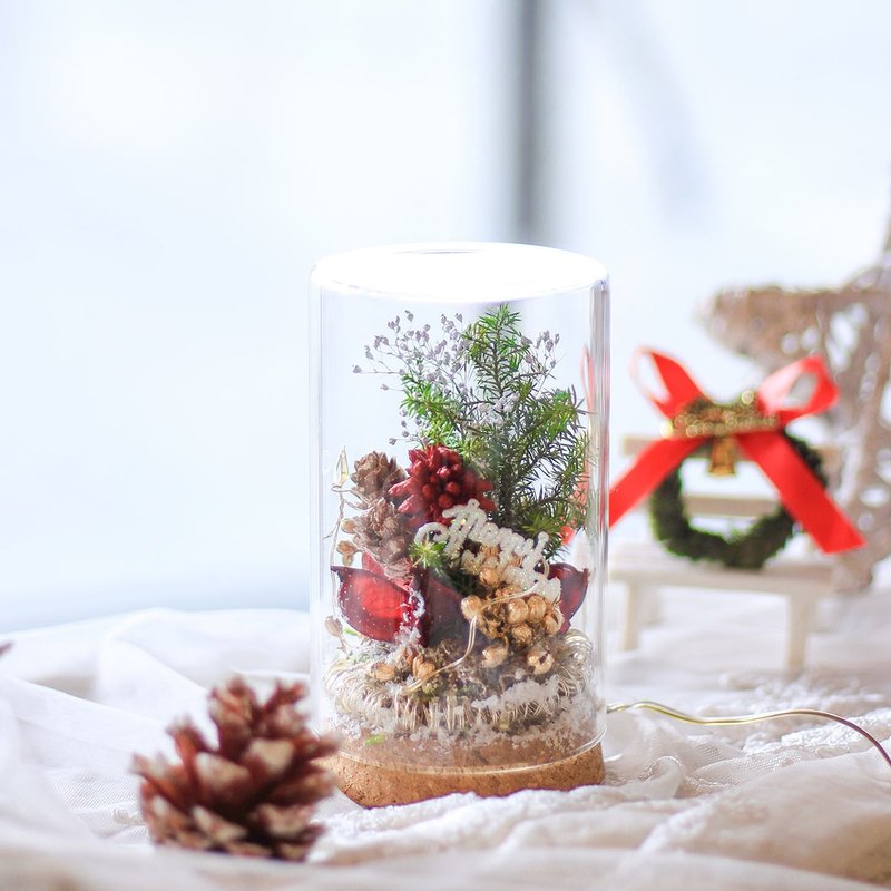 Christmas limited edition Christmas glass cover in a bottle (including string lights) - จัดดอกไม้/ต้นไม้ - พืช/ดอกไม้ 