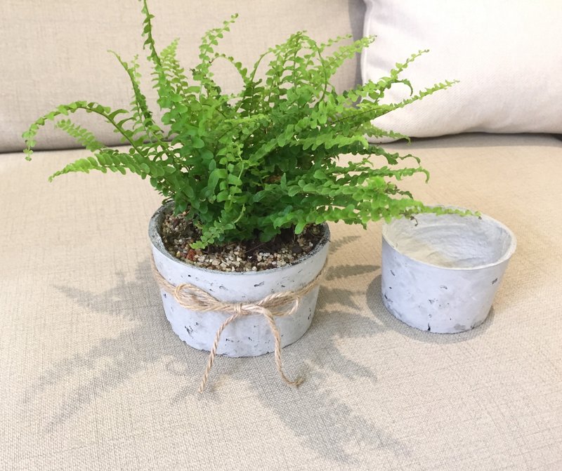 工業風水泥盆與植栽雙堂課 - 植栽/花藝 - 水泥 