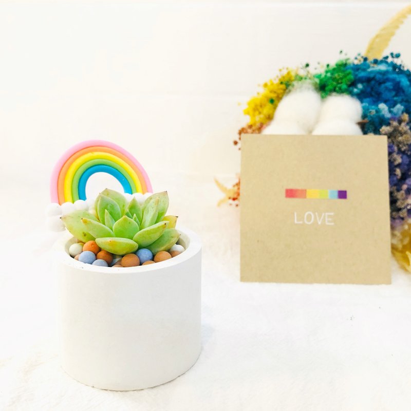 Rainbow Series-Mudpot Gift Box - ตกแต่งต้นไม้ - ปูน หลากหลายสี