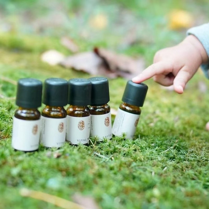 [Aromatherapy Anti-epidemic Series] Life Situation Compound Essential Oil | Diffuse, relax, relieve stress and heal with natural aroma - น้ำหอม - น้ำมันหอม 