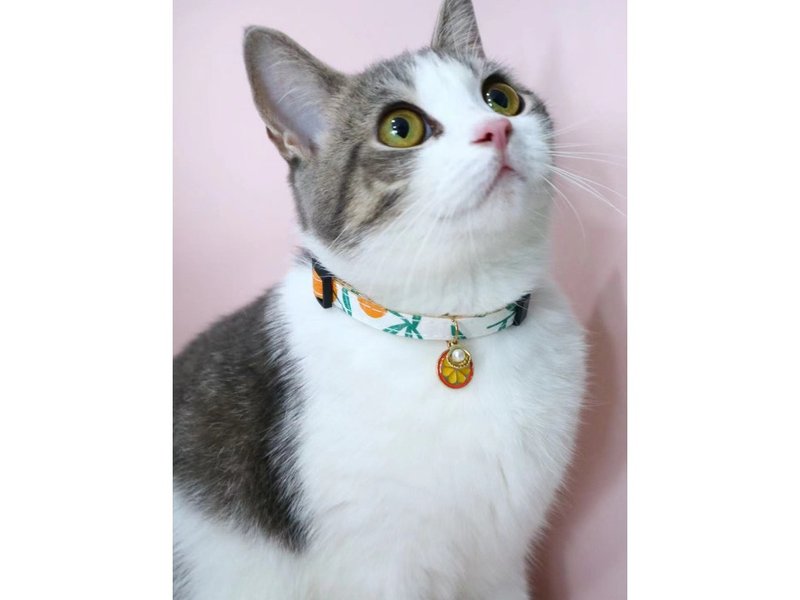 【iC原創】手工貓狗無聲項圈夏日風橙子 - 項圈/牽繩 - 其他材質 