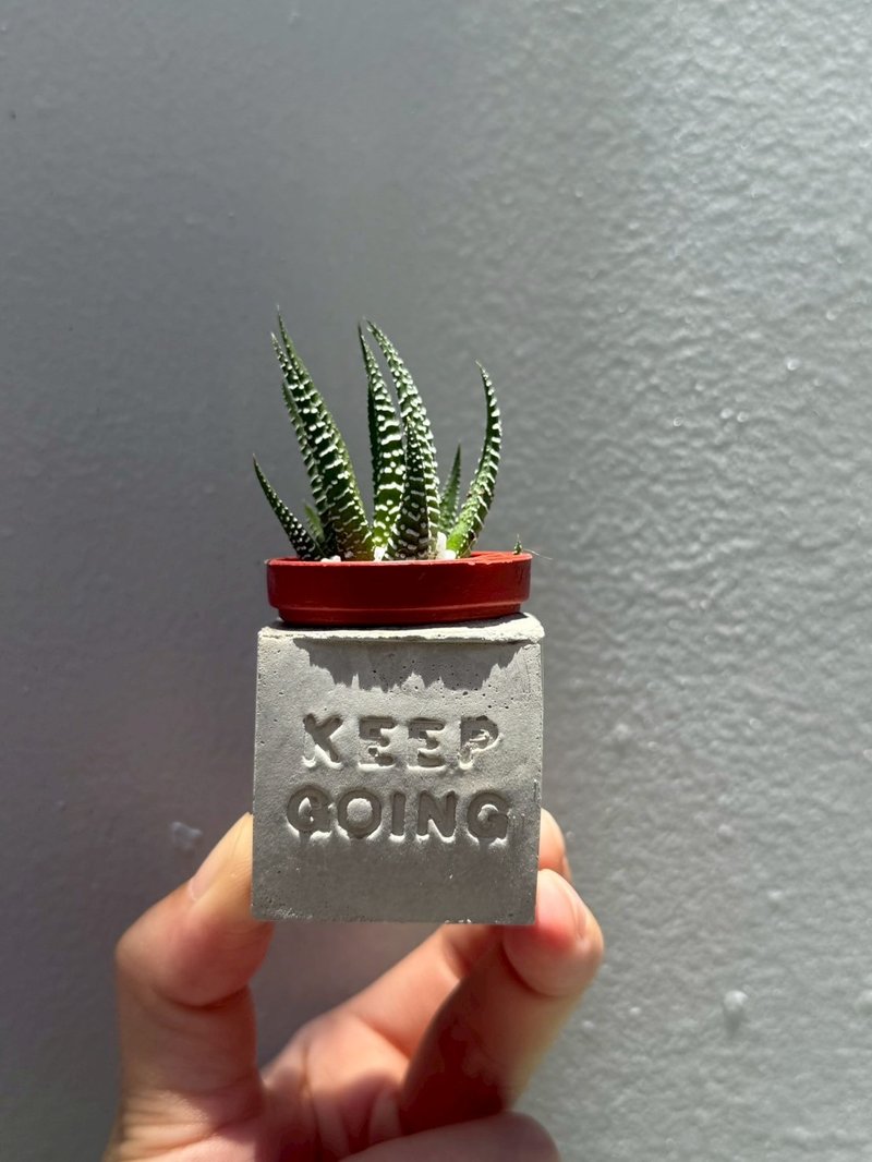 Keep going 堅持下去 多肉磁鐵盆栽 - 盆栽/植栽 - 水泥 灰色