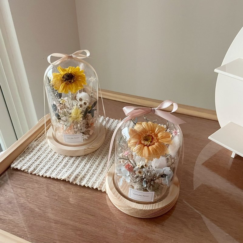 【畢業花禮】畢業花禮 畢業季 向日葵太陽花 永生玻璃盅 玻璃鐘罩 - 乾燥花/永生花 - 植物．花 