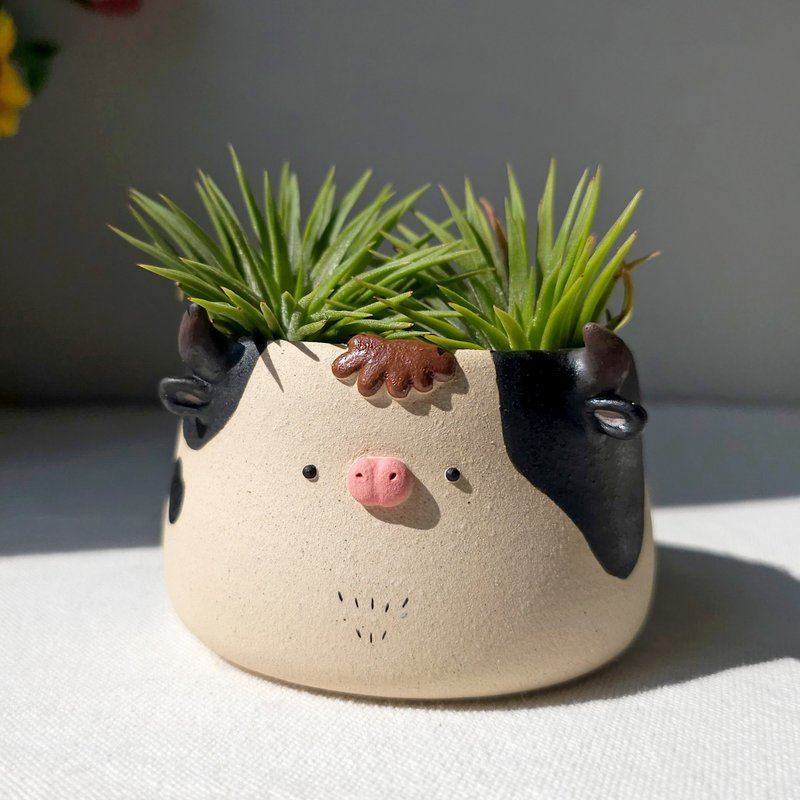 Cute cow plant pot. Black and white body color. - 植栽/盆栽 - 陶 