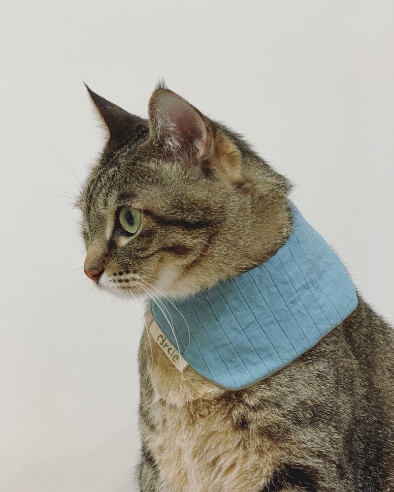 What kind of scarf on toast - [Sneak a bite of Marshmallow Blue] - Collars & Leashes - Cotton & Hemp Blue