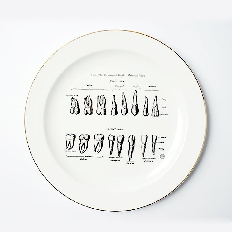 Mr. Science Science Factory East Hospital - tooth arrangement Dish - Small Plates & Saucers - Porcelain 