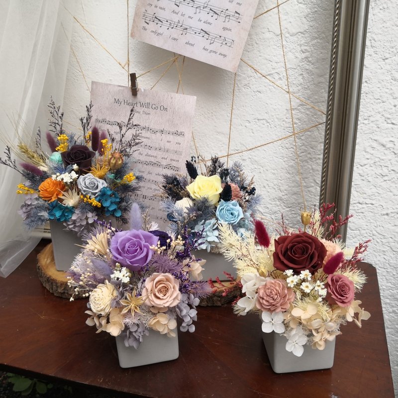 乾燥花盆 永生盆花 午夜藍 開幕誌慶 花禮 開幕慶賀 盆花 水泥盆 - 乾燥花/永生花 - 植物．花 多色