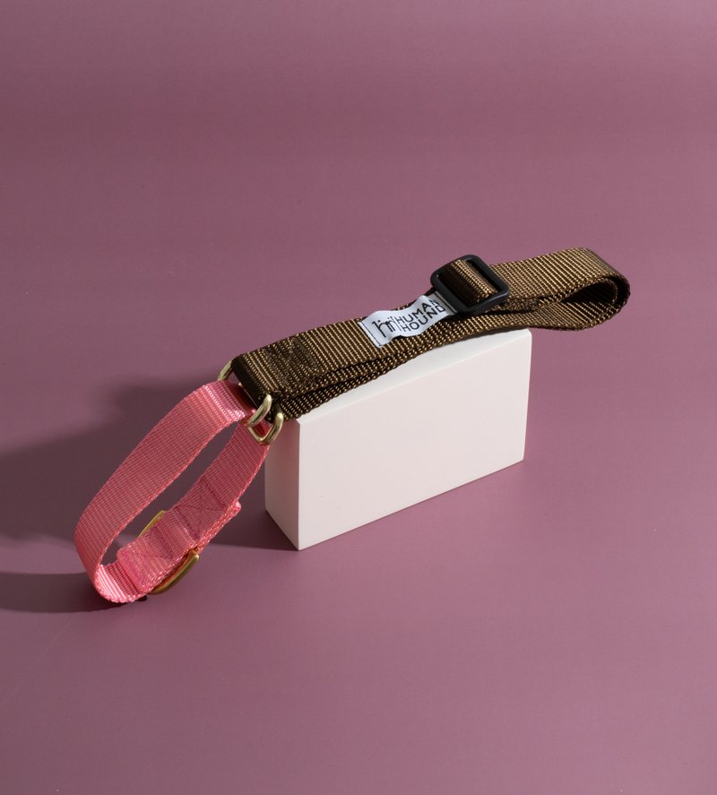 馬丁格爾領 - 棕色 x 粉紅色 - 貓狗頸圈/牽繩 - 其他材質 多色