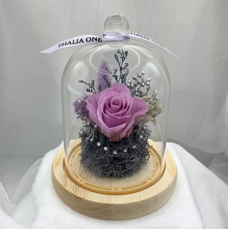 Elegant Departure Series (Birthday/Desk Flower/Small Things) for Eternal Life Flower Gifts - Items for Display - Plants & Flowers Purple