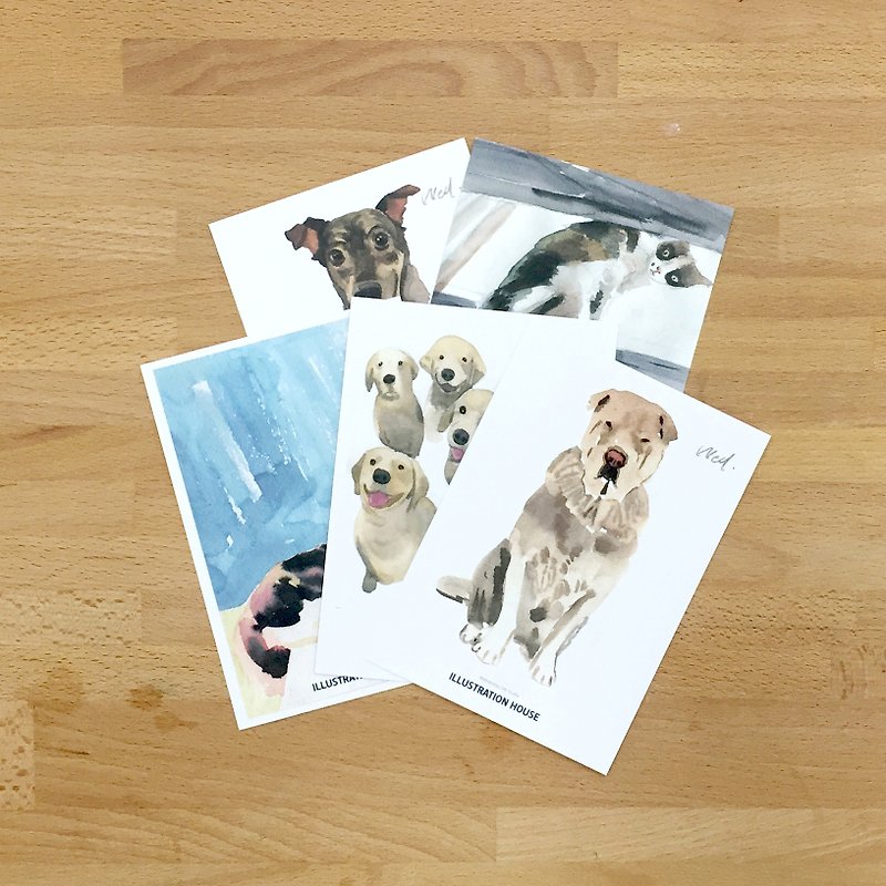 Wednesday animal group postcards / 5 into - Cards & Postcards - Paper 