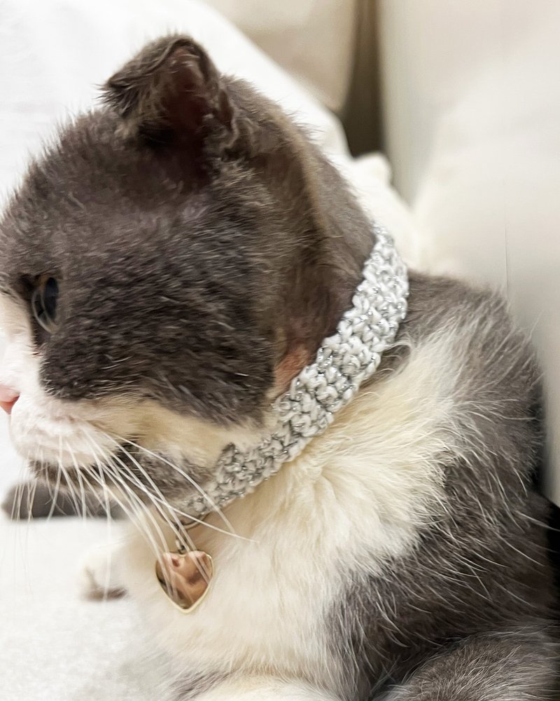 [No bell + safety buckle] Silver snow + love - handmade cat collar/cat collar/safety collar - ปลอกคอ - วัสดุอื่นๆ 