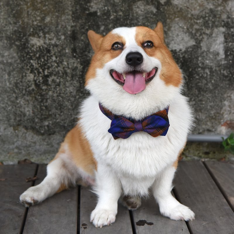 [ZAZAZOO] L-code dog collar accessories - blue orange lines - without collar - ปลอกคอ - เส้นใยสังเคราะห์ 