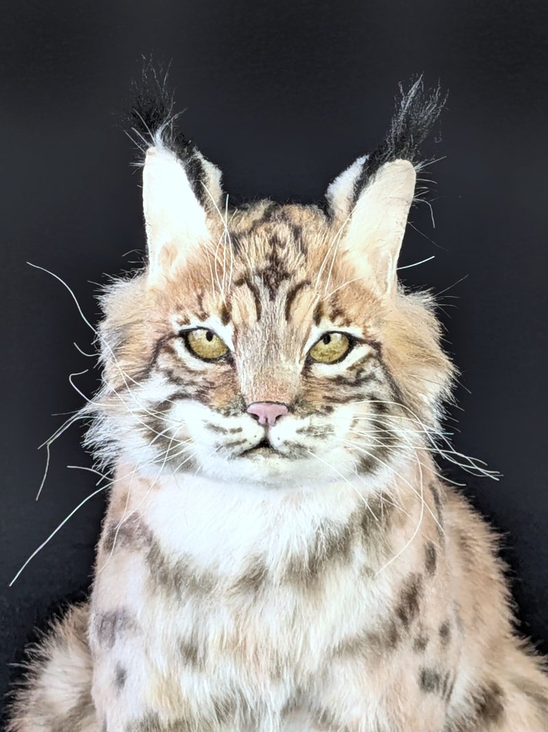 実物大 リアルなボブキャット（リンクス）のぬいぐるみ、ポーズ可能 - 人形・フィギュア - その他の素材 