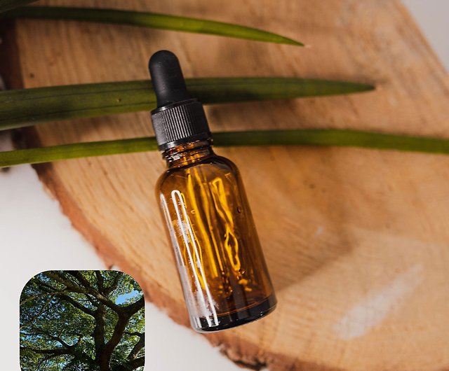 Scented Path] Natural Essential Oil Cuban Balsam Essential Oil Copaiba  (Free Sweet Orange Essential Oil 10ml) - Shop aroma-country-road Fragrances  - Pinkoi