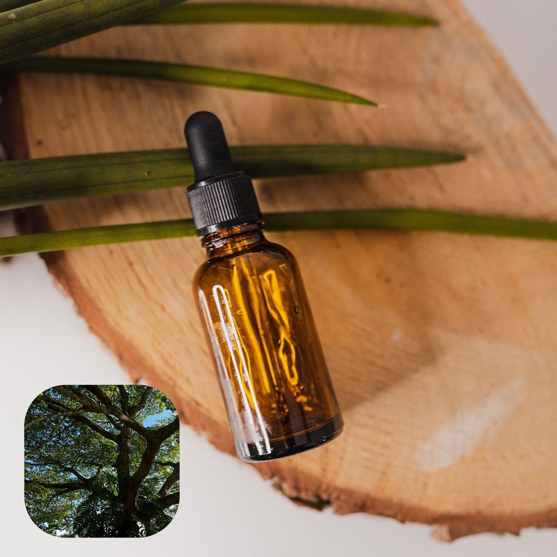 【香間小路】天然精油 古巴香脂精油 Copaiba ( 贈甜橙精油10ml ) - 香氛/精油/擴香 - 玻璃 透明