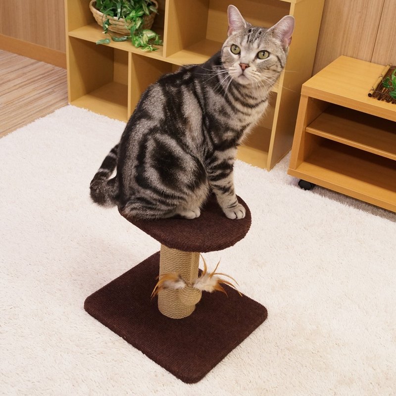 [Japan CattyMan] Happy cat scratching double deck game table - Scratchers & Cat Furniture - Cotton & Hemp 