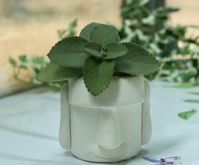 Aroma Pot, diatomaceous